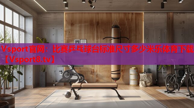 Vsport官網(wǎng)：比賽乒乓球臺(tái)標(biāo)準(zhǔn)尺寸多少米樂體育下載