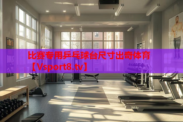比賽專用乒乓球臺尺寸出奇體育
