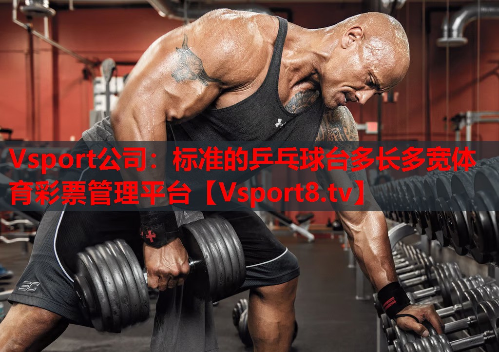 Vsport公司：標(biāo)準(zhǔn)的乒乓球臺(tái)多長多寬體育彩票管理平臺(tái)