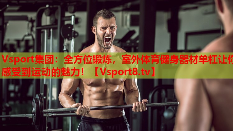 Vsport集團(tuán)：全方位鍛煉，室外體育健身器材單杠讓你感受到運(yùn)動(dòng)的魅力！