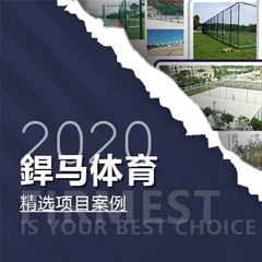【回顧】2020年體育全年精選項目案例！